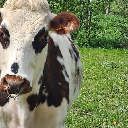 Roulotte A La Ferme Buissonniere Vila La Lande-de-Louge Exterior foto